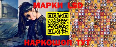 индика Будённовск
