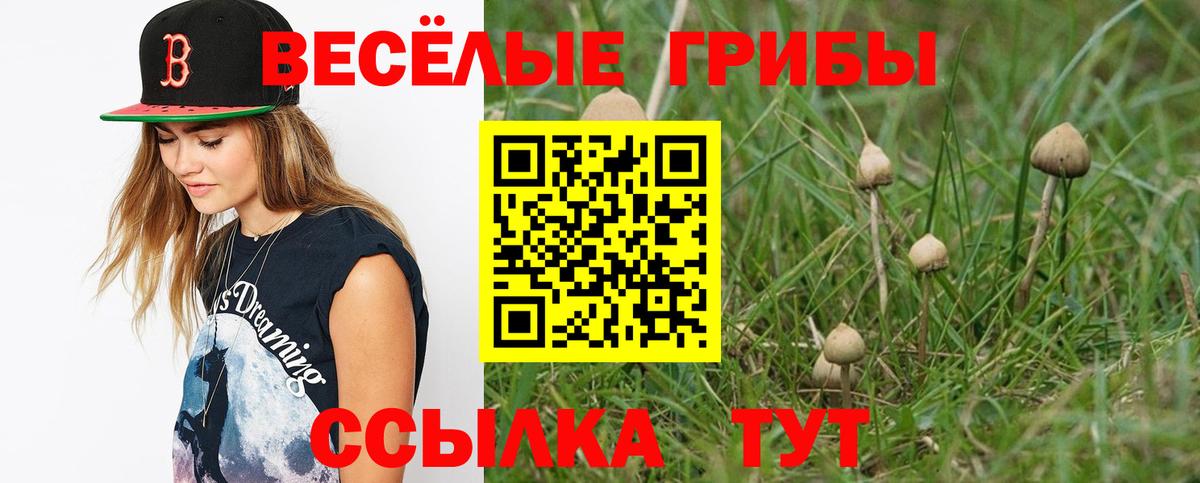 Псилоцибиновые грибы мицелий  Псилоцибиновые грибы Cubensis  Вход с VPN  Свободный 